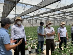 Xây dựng hệ sinh thái phát triển nông nghiệp 4.0