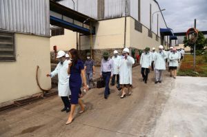 Đồng Nai được đánh giá cao về công tác xử lý chất thải rắn sinh hoạt