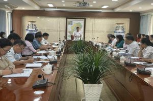 Những tháng còn lại cuối năm các cấp ủy cần tập trung cao độ