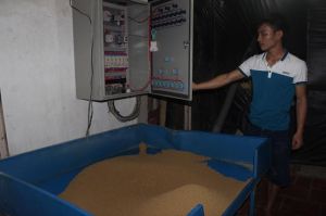 Xử phạt cơ sở kinh doanh thức ăn chăn nuôi kém chất lượng