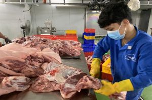 Heo hơi sốt giá, cơ sở giết mổ gặp khó