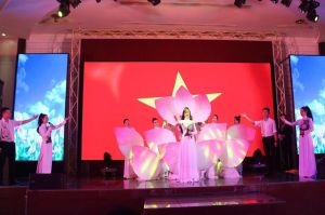 Hơn 500 khán giả xem chương trình Bác Hồ một tình yêu bao la