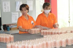 Vốn FDI thúc đẩy phát triển kinh tế bền vững