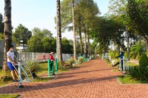 Thể thao Đồng Nai đoạt 92 huy chương tại các giải đấu quốc gia