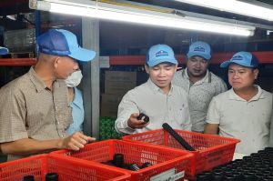 Cải tiến và đổi mới liên tục để phát triển doanh nghiệp