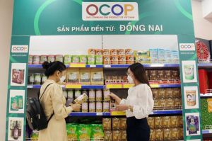 Ngành thương mại, dịch vụ có nhiều khởi sắc