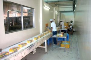2010년 상업, 산업 생산 상황: 목표들이 계획대비 달성&초과