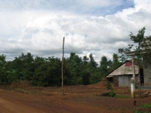 농촌지역 전력망의 개발을 강력히 촉진