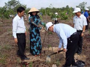 호아저씨 탄생기념많은활동