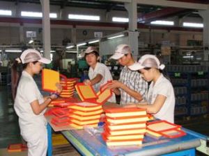 비엔화시: 애국운동은 경제사회발전계회목표를 성공적으로 구현에 기여한다