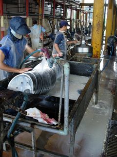 ２００９年７月の輸出入額は約１１億１７００万ドル。