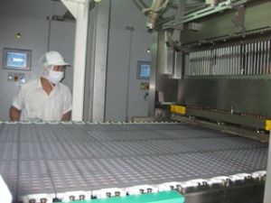 2006年～2010年の工業生産価値は年間平均18%増加。