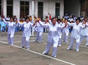 2010년에 제 VI차 동나이성체육대회양생체육선수권에 10팀이 참석하였다