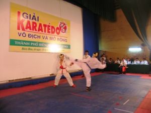 2010년에 확대비엔화시Karatedo 선수권에 14단위가 참가한다