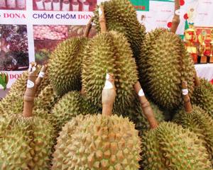 ドンナイ省はティンジャン（Tien Giang）で第一回のベトナム果物祭りに参加した。