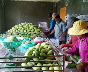 쑤언록현: 2011년 상반기 국내 총생산GDP) 130억동 달성