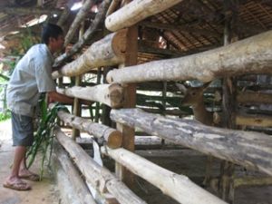 スアンティン（Xuan Thien）村：270世帯以上への飢餓一掃貧困削減用貸し出し