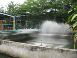 ２０１０年、環境保全費用４５億ドン集まった