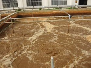 12つの工業団地の下水処理システムの稼動は安定