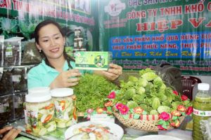 농업부터사업을시작한다