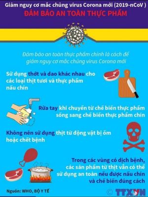 인민위원회 회장은 급성 호흡기 감염 예방 및 방지를 위한 운영위원회장이 됩니다.