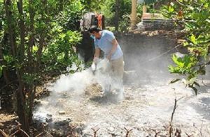 베트남에서 조류 독감 방지