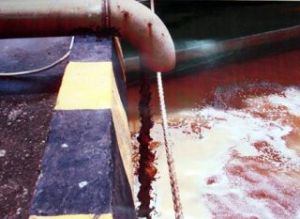 ドンナイ省人民委員会は２０１０年の最初の６ヶ月間の会合を行った。Vedan問題は人たちの関心を集めた。