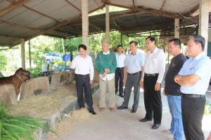Long Thanh 우유 특산물 브랜드를 개발한다