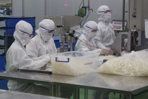 The trend of developing the green and intensive Industrial Zones