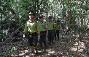 산림 보호 메커니즘을 추가 활성화한다