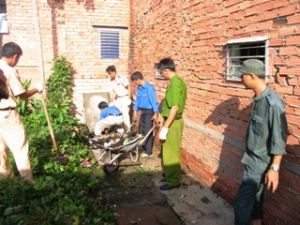 「２０１１年きれい世界」を呼応