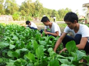 4つのプログラムを行なって、社会安全に貢献