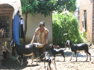 経済をする会員へ２３億ドンの寄付を呼びかけ