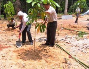 ２０１１年に約900ヘクタールの林を植えると見込み