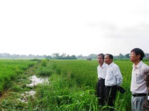 ７月１日から2011年7月30日にかけて、農村・農業及び水産について総調査を進め