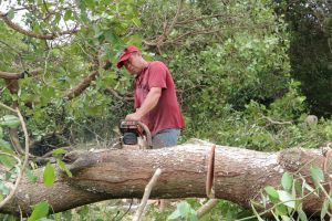 Phan Thiet- Dau Giay 고속도로 경제 성장 동력 전달