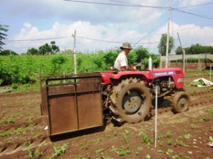 ２０１１年初から今まで、１８ヵ所の共同組合の設立