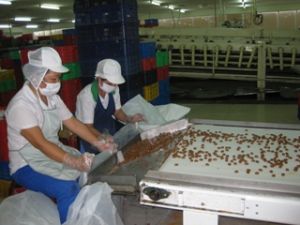 2009年工业生产总值约达845350亿越盾