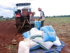 農民が融資にたくさん接近する条件があり