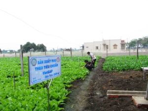 ２０１５年まで ドンナイ（Dong Nai）省は農産物のブランドを１７つ築き