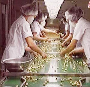 2008年11个月进出口额达13678百万美元以上