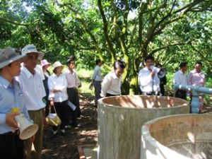 Suoi Lon芒果合作社：同奈省首个合作社获得 VIETGAP 标准的承认书