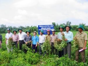 劝农项目获得效果：第一课：农作物生产力及品质上升趋势