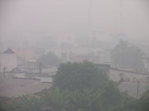 十二月份最后几天天气寒冷和清晨烟雾。