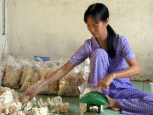 农民面临困难。第2课：收紧开支