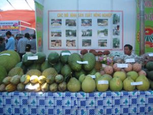 农民何时能脱离砍-种的圈子