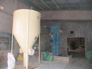 青德养鸡场：为工业鸡蛋寻找出路的典型