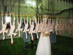 春节食品供应：不会发生食品短缺的状况。