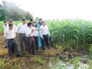 水利工程发挥效果。