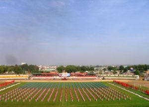 ドンナイ第ＶＩ回運動会の総括